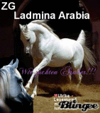 evtl. ZG Ladmina Arabia