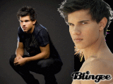 taylor lautner