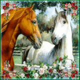 Horses and roses!!!!!!!!!!!!!!!!!!!!!!!!!!!!!!!!!!!!!