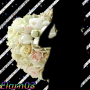 Flower Shadow - Elarn03 Flower Shadow - Elarn03