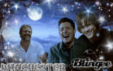 The Winchesters