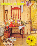 Spring is here Ƹ̵̡Ӝ̵̨̄Ʒ