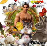 KDO POUR MA DIVINE FELINE : NOS AMIES LES BETES !