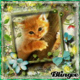 Gatito♥Spring...ⓐ.✿.ⓜ 