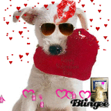 Feliz Valentines Day
