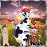 funny cow and friends