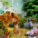 " MUSICAL HARMONY " pour l'amour des animaux