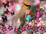 primavera