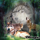 The Wolf Pack