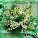 1 er MAI FOR FRIENDS
