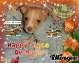 Puppy Wishes