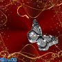Butterfly and Smiley face - Elarn03