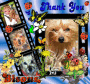 JOY VOUS DIT MERCI