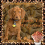 Brown- Thank You My Friend! ((alwaysanangel69))©®