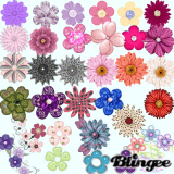 Scrap flowers, 2.   (S. 13)