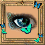 Butterfly Eye