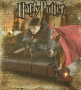 Harry Potter Harry Potter