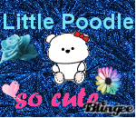 cute