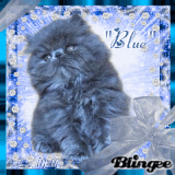 "Blue" by Maddi 