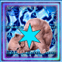 kitten blue stars