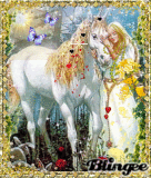 Zauberwald