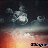 JellyFish -CH
