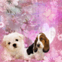 Chiots =)