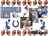 INDIANAPOLIS COLTS