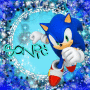 ^*SoNiC...^^^... ^*SoNiC...^^^...