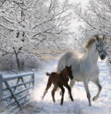 Mom and Baby