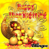 Happy Thanksgiving