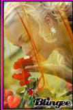 belle image 