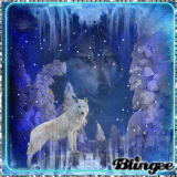Spirit Of The Wolf