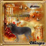 In Loving Memory Of:Bubbles