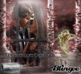 ***Where We Belong...***