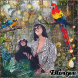 ((*-.Party in the Jungle.-*))
