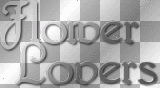 soave text flower lovers white