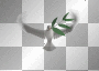 white dove bird of peace animated²u