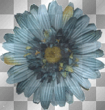 Blue Flower