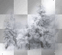 tree winter snow transparent landscape [1ֆ]