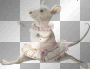 mouse,fantasy dubravka