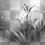Background flowers 