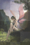 fairy