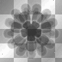 Black overlay flower transparent bg background circle by uky96 Black overlay flower transparent bg background circle by uky96