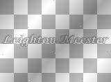Leighton Meester ' white black gray text