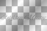 Leighton Meester ' white black gray text