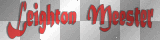 Leighton Meester ' red black gray text