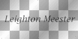 Leighton Meester - text