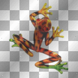 Frog: By 4r13s