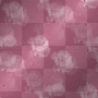 background pink